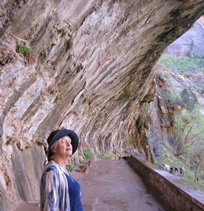 hanging garden overhang